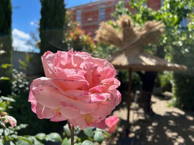 Nid D'ange En Provence Hébergement de vacances *